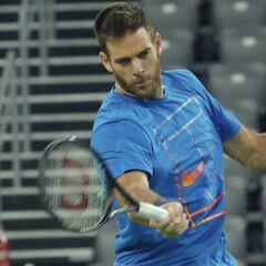 Del Potro también rechaza el festejo provocador de Teo