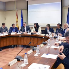 Las federaciones presentan 80 alegaciones a la Ley