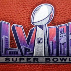 10 fun facts about the Super Bowl