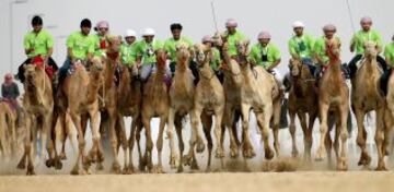 Jinetes compiten en una carrera de camellos en el Festival de Camel Mazayin Dhafra, en el desierto cerca de la ciudad de Madinat Zayed, a 150 kilómetros al oeste de Abu Dhabi.