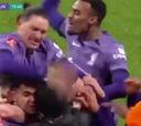 Un hincha del Liverpool entró a celebrar el gol y los jugadores le hicieron esto