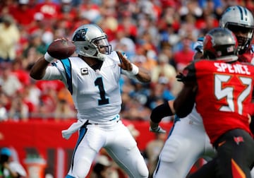 FILE PHOTO: Jan 1, 2017; Tampa, FL, USA; Carolina Panthers quarterback Cam Newton (1) throws the ball against the Tampa Bay Buccaneers during the first quarter at Raymond James Stadium. Mandatory Credit: Kim Klement-USA TODAY Sports/File Photo