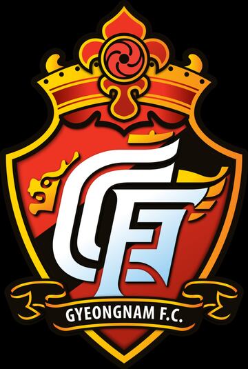 Club que juega en la liga profesional de Corea del Sur, con sede en Changwon pero originario de Gyeongsang. El único título con el que cuentan en su corta historia es el de la K League 2 (segunda división de Corea del Sur).