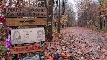 When will Richard Allen be sentenced for Delphi murders? How long will he go to prison for?