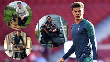 El asalto a Dele Alli motiva a los jugadores de la Premier a comprar perros guardianes