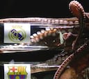 El pulpo Iker vaticina el pase a la final del Real Madrid