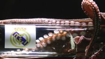 El pulpo Iker vaticinó el pase del Real Madrid a la final de la Champions.