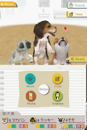 Captura de pantalla - nintendogs_01.jpg