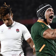 Los Springboks no irán al Rugby Championship por el COVID-19