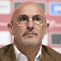 De la Fuente: "Algunas decisiones arbitrales han sido dudosas"