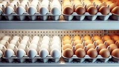 This is the difference between white and brown eggs: which ones are cheaper?