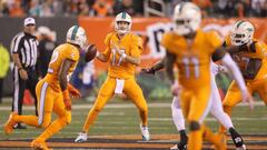 CINCINNATI, OH - SEPTEMBER 29: Ryan Tannehill #17 of the Miami Dolphins drops back to throw a pass during the third quarter of the game against the Cincinnati Bengals at Paul Brown Stadium on September 29, 2016 in Cincinnati, Ohio.   John Grieshop/Getty Images/AFP
 == FOR NEWSPAPERS, INTERNET, TELCOS &amp; TELEVISION USE ONLY ==