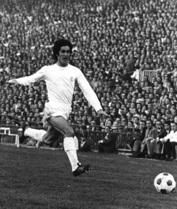 Defendió la camiseta del Real Madrid desde 1969 hasta 1982 y jugó con el Rayo Vallecano dos temporadas: 1966-67 y 1967-68.