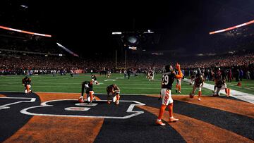 Let’s take a look at which divisional-round matchups have the most expensive tickets in NFL history