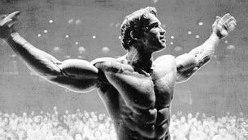 Arnold Schwarzenegger