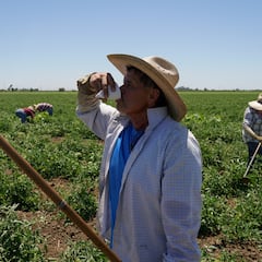 ¿Corre peligro el programa de visas H-1B, H-2A y H-2B en la presidencia de Trump? Esto es lo que ha dicho