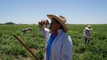 Las altas temperaturas continúan azotando a los Estados Unidos. Te compartimos algunos consejos para evitar el agotamiento.