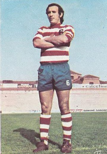 El defensa paraguayo llegó a la Liga española en 1967 a las filas del Barcelona. En 1969 ficharí­a por el Granada, equipo en el que terminarí­a su carrera en 1978.