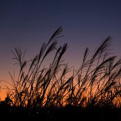 ¿Cuánto tiempo durará el Eclipse Lunar?: horario por ciudades, estados y anuncios importantes