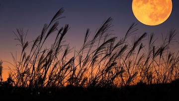 Best time to see Harvest Supermoon eclipse tonight