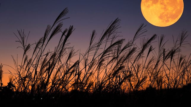 ¿Cuánto tiempo durará el Eclipse Lunar?: horario por ciudades, estados y anuncios importantes