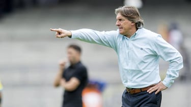 Los argentinos que han dirigido a los Pumas
