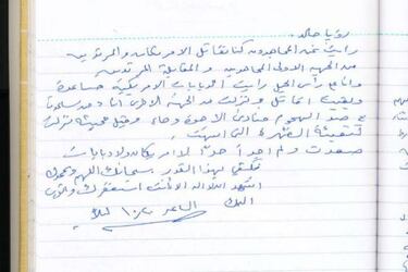 Juegos y pelis piratas: el extraño contenido del disco duro de Bin Laden