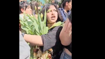 Una mujer se llenó de críticas por esto en la entrega de tulipanes en Las Condes: “Te las llevas todas, flaite”