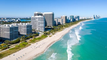 A man has been arrested after stabbing a bull shark.