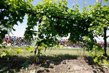 Panorámica del pelotón. 