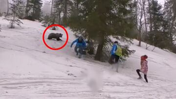 Un oso persiguiendo a unos turistas en las monta&ntilde;as nevadas de Eslovaquia, en abril del 2022. 