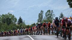 El pelotón, durante el Tour de Francia 2023 (AFP)