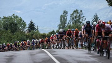 El pelotón, durante el Tour de Francia 2023 (AFP)