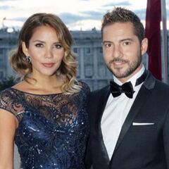 David Bisbal y Rosanna Zanetti se hacen pareja de hecho