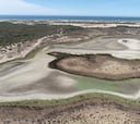 La laguna permanente de Doñana se seca