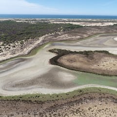 Doñana entra en un “insostenible punto crítico”