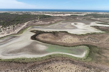 Parque Nacional de Doñana