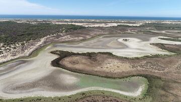 Parque Nacional de Doñana