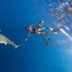 Shaun White nada con tiburones: “No son asesinos despiadados”