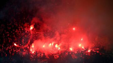 Los aficionados del Lyon, durante un partido de su equipo.