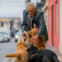 Es chileno, tiene 75 años y entrará a estudiar medicina Veterinaria: “Si no termino la carrera...”