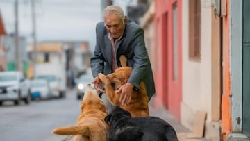 Es chileno, tiene 75 años y entrará a estudiar medicina Veterinaria: “Si no termino la carrera...”