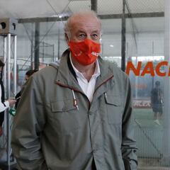 Del Bosque: "No creo en la Superliga europea"