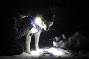 Bonitas imágenes de una de las carreras de trineos con perros más largas del continente. Cada año llegan a la aldea checa de Destne corredores de todas partes de Europa.