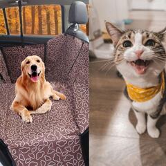 Ocho productos y accesorios para mascotas mejor valorados en Amazon México