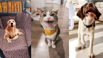 Ocho productos y accesorios para mascotas mejor valorados en Amazon México