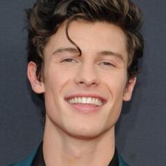 Shawn Mendes song to be featured in upcoming animated movie ‘Butterfly Tail’