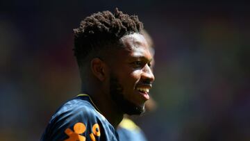 Brazil's Fred suffers ankle injury