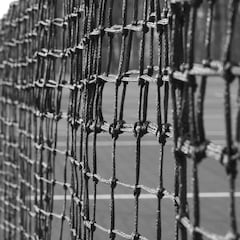 4 mitos sobre tenis que probablemente desconocías