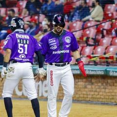 Venados no consigue igualar a la ofensiva de Cañeros